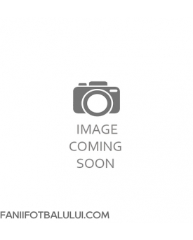 Borussia Dortmund Jobe Bellingham #7 Tricou Fotbal Replică 2025-26 Barbati Treilea